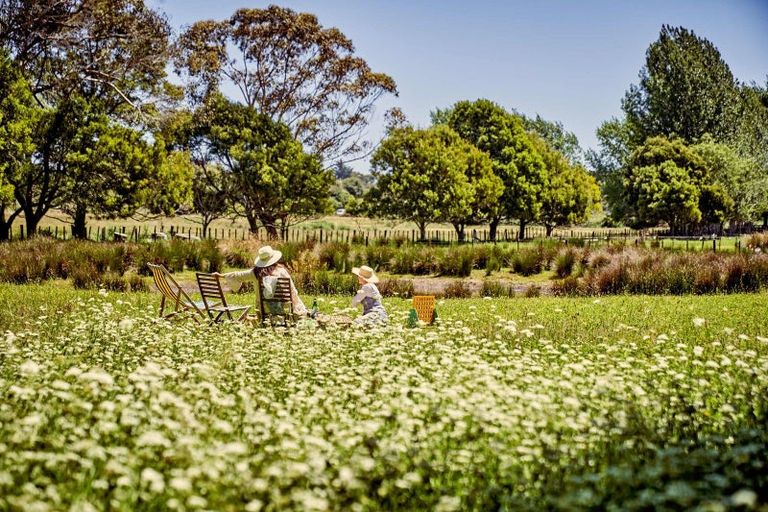Photo of property in 7 Greendale Drive, Otaihanga, Paraparaumu, 5036
