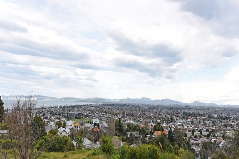 Photo of property in 40 Napier Terrace, Hospital Hill, Napier, 4110