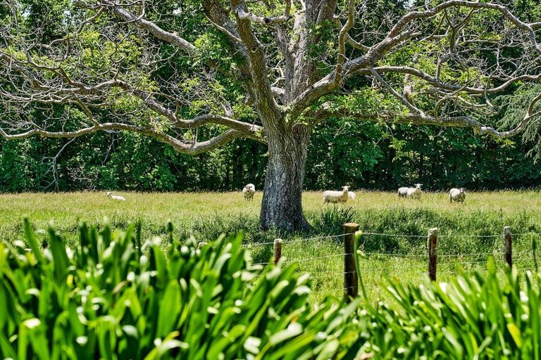 Photo of property in 8 Maungahina Road, Te Ore Ore, Masterton, 5886