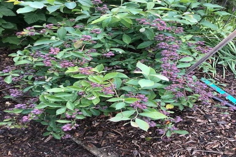 Photo of property in 104a Songer Street, Stoke, Nelson, 7011