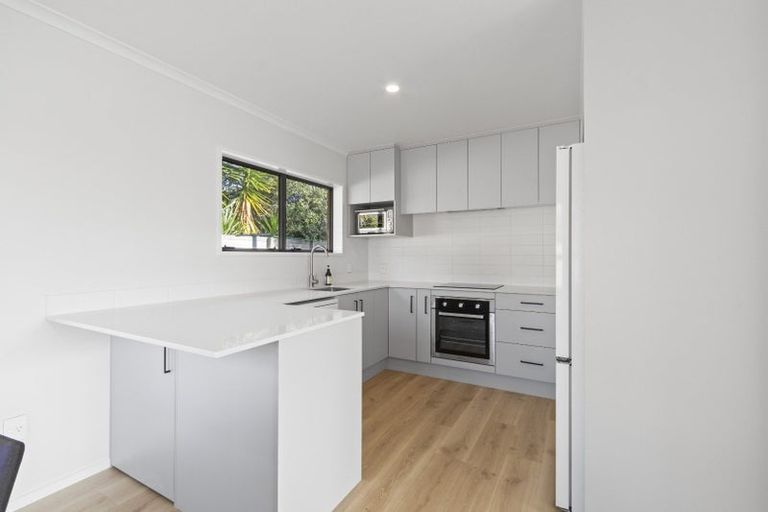 Photo of property in 45a Haultain Street, Fairfield, Hamilton, 3214