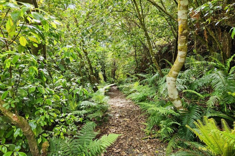 Photo of property in 692 Rutherglen Road, Marsden, Greymouth, 7872