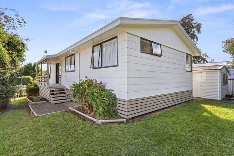 Photo of property in 41 Hibiscus Avenue, Hamilton Lake, Hamilton, 3204