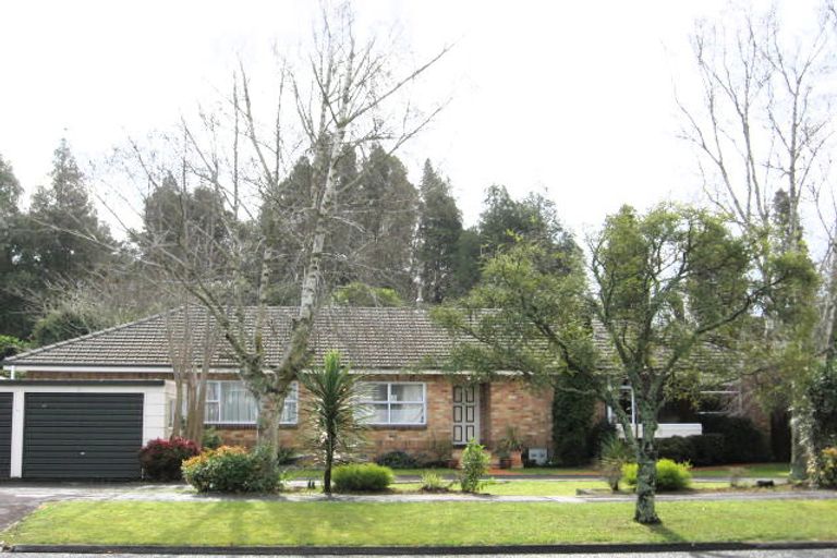 Photo of property in 15 Bailey Avenue, Claudelands, Hamilton, 3214