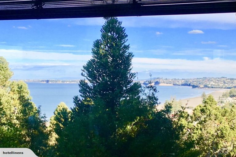 Photo of property in 24 Hillcrest Road, Hatfields Beach, Orewa, 0931