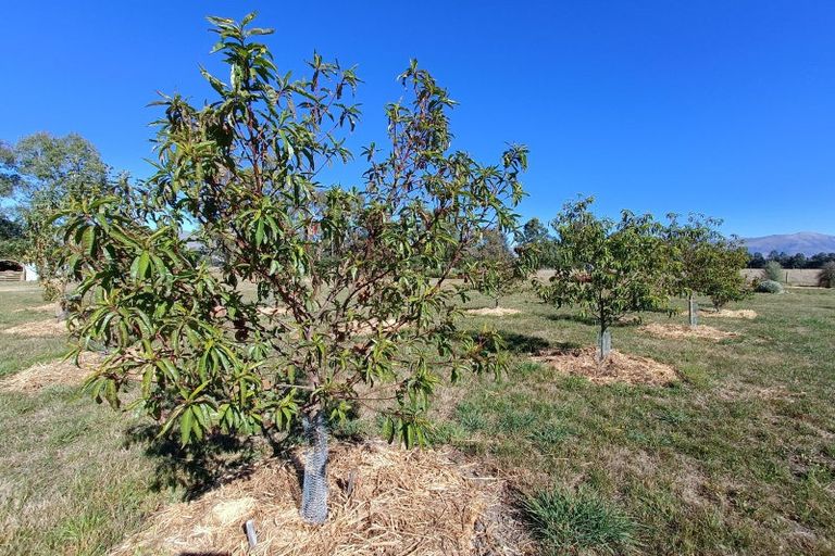 Photo of property in 558 Hamilton Road, Ashwick Flat, Fairlie, 7987