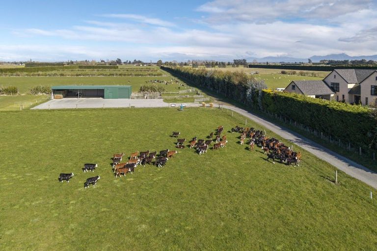 Photo of property in 201 Hollands Road, Tinwald, Ashburton, 7771