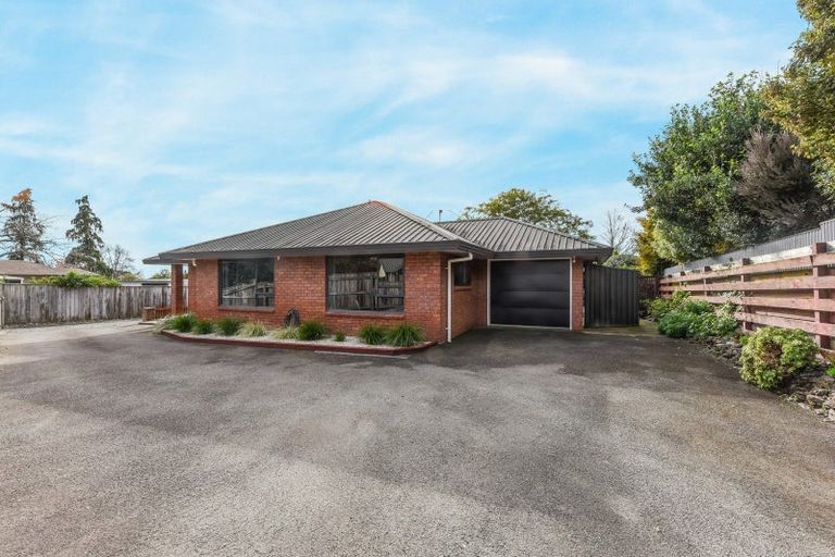 Photo of property in 115 Queen Street, Richmond, 7020