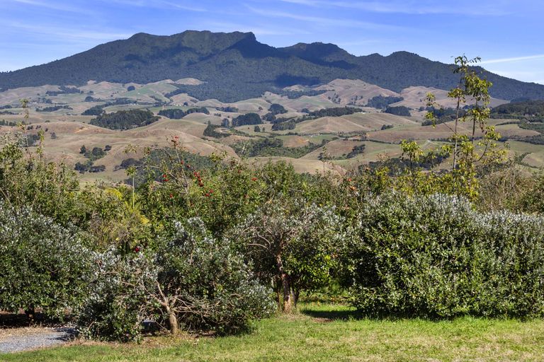 Photo of property in 11 Somerset Lane, Raglan, 3295