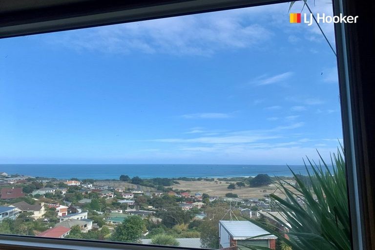 Photo of property in 8 Hunt Street, Andersons Bay, Dunedin, 9013