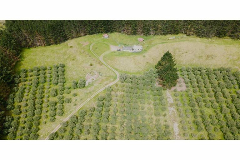Photo of property in 4560 Pouto Road, Pouto, Te Kopuru, 0391