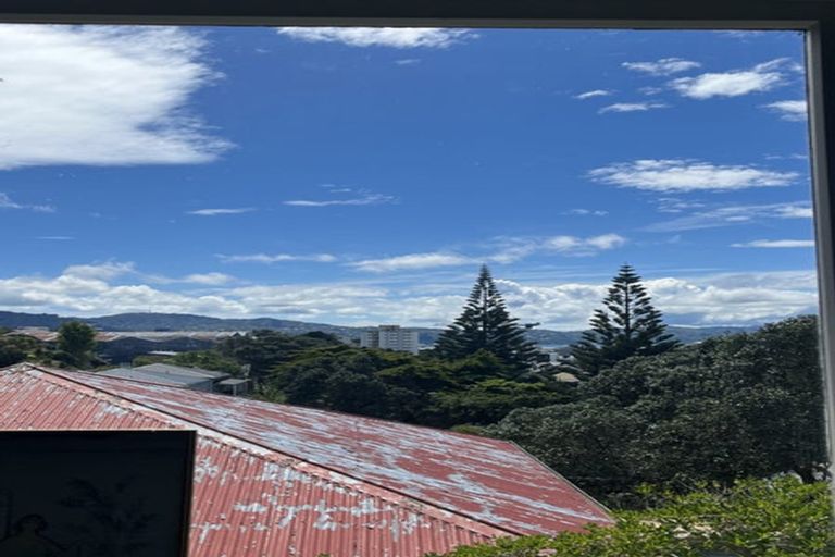 Photo of property in 182 Hanson Street, Newtown, Wellington, 6021