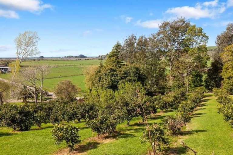 Photo of property in 95a Looney Road, Waiotahe, Opotiki, 3198