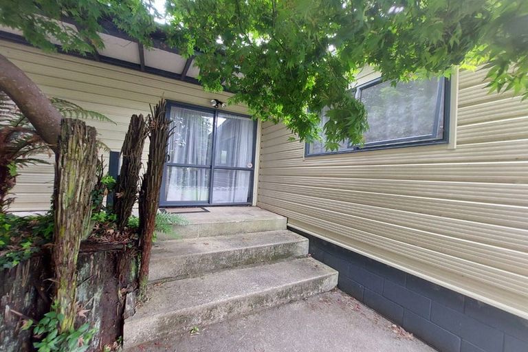 Photo of property in 42 Mcmeekan Avenue, Chartwell, Hamilton, 3210