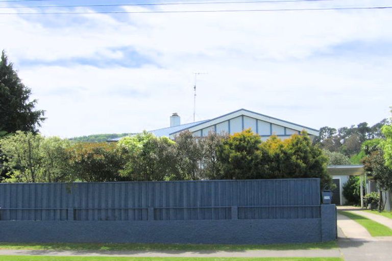 Photo of property in 219 Ormond Road, Mangapapa, Gisborne, 4010
