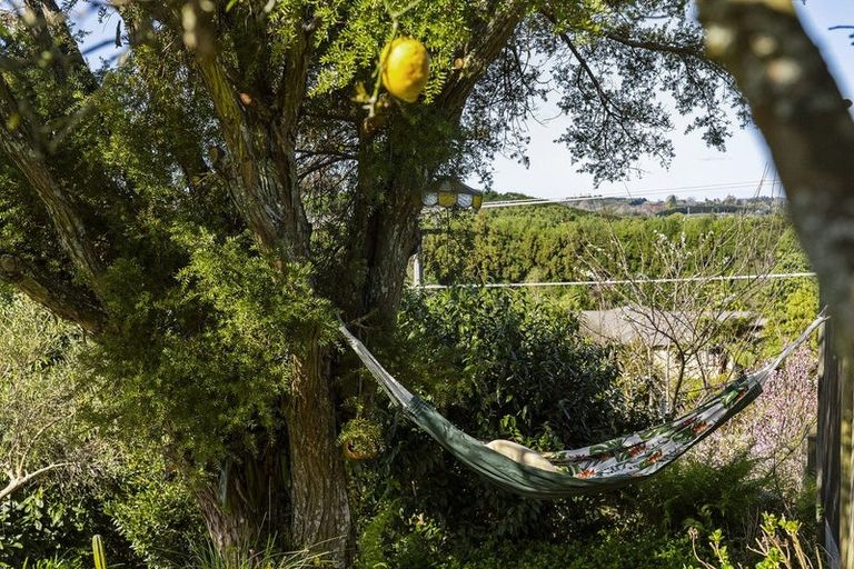 Photo of property in 45a Barrett Road, Whakamarama, Tauranga, 3180