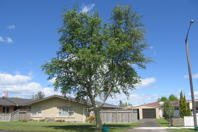 Photo of property in 1 Matai Avenue, Matamata, 3400