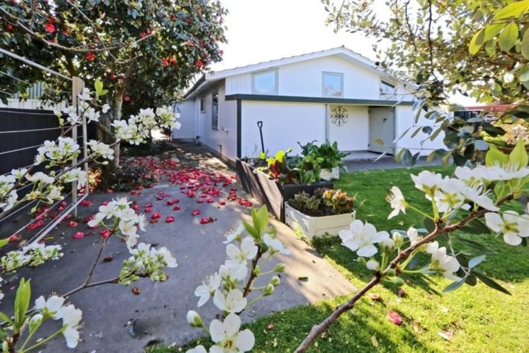 Photo of property in 711 York Street, Mahora, Hastings, 4120