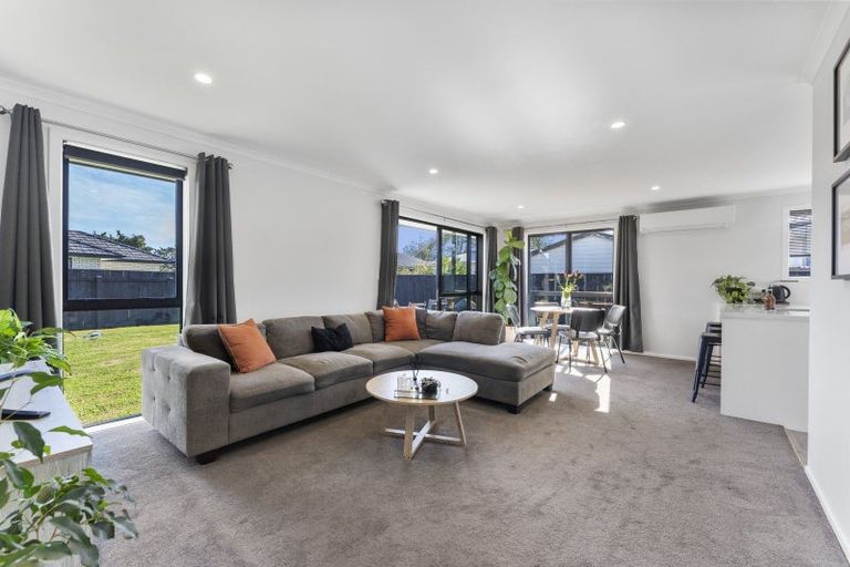 Photo of property in 68 Hinemoa Street, Levin, 5510