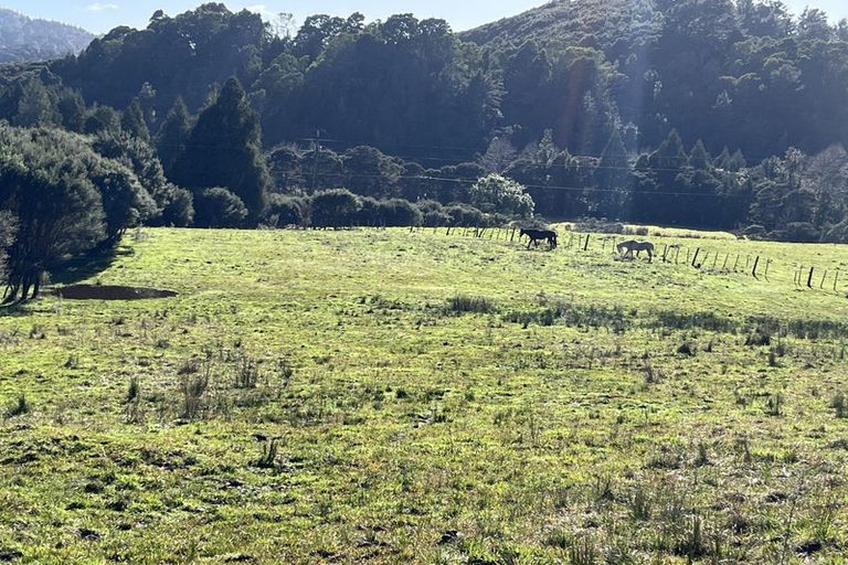 Photo of property in 1878 The 309 Road, Kaimarama, Whitianga, 3591