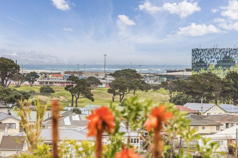 Photo of property in 11 Madison Place, Miramar, Wellington, 6022