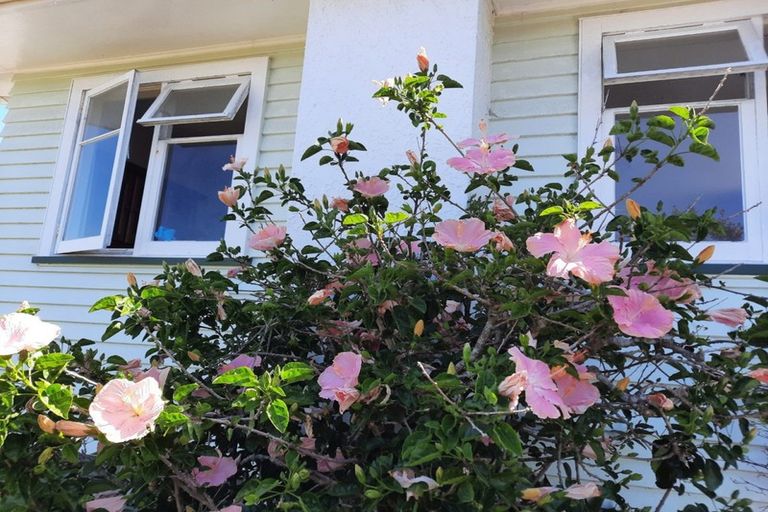 Photo of property in 99 Clawton Street, Westown, New Plymouth, 4310