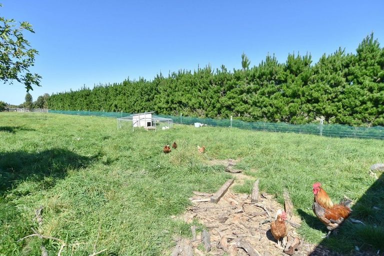 Photo of property in 133 Riverside Road, Okuku, Rangiora, 7473