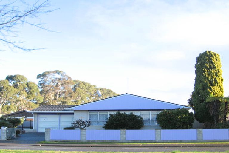 Photo of property in 181 Flaxmere Avenue, Flaxmere, Hastings, 4120