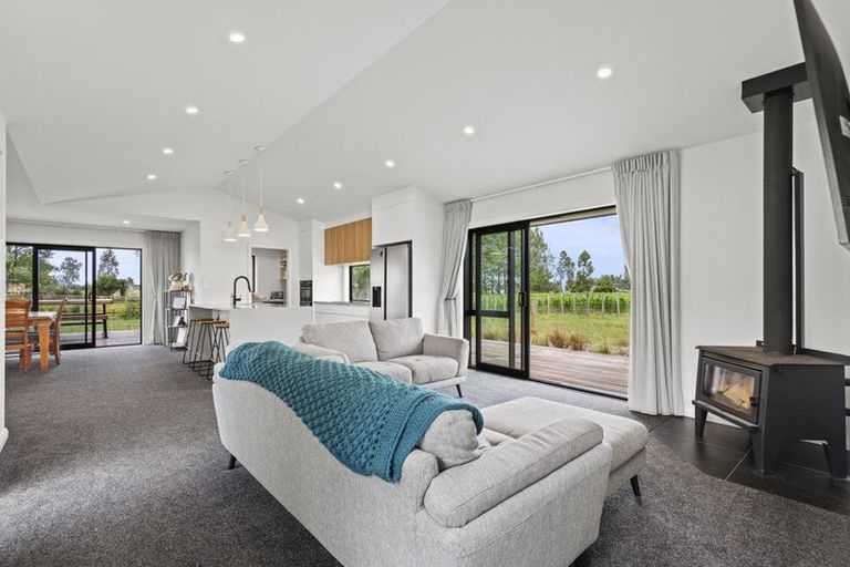 Photo of property in 569 Taonui Road, Colyton, Feilding, 4775