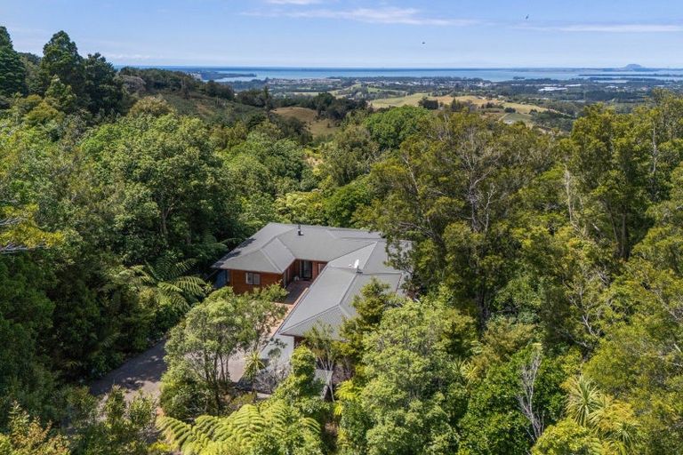 Photo of property in 410a Busby Road, Tahawai, Katikati, 3170