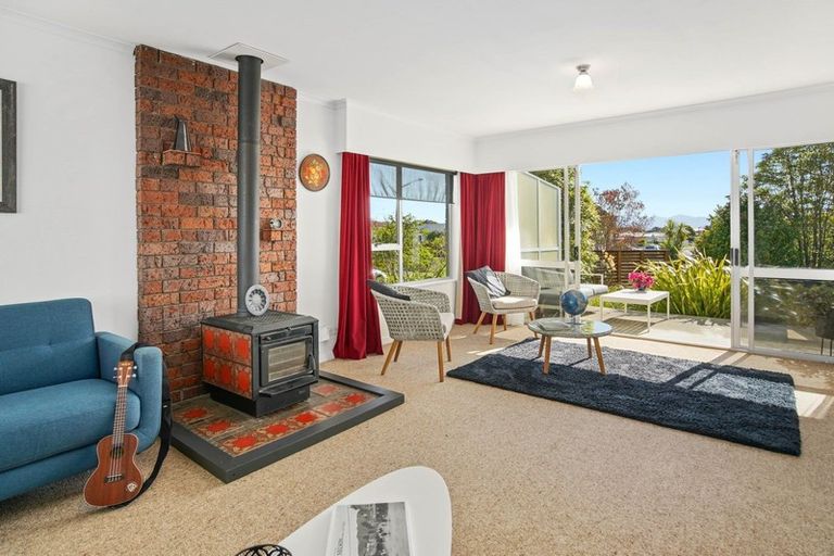 Photo of property in 23 Alfred Sheat Street, Richmond, 7020