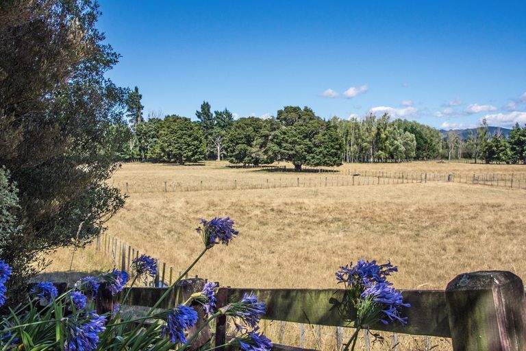 Photo of property in 317 West Bush Road, Upper Plain, Masterton, 5888