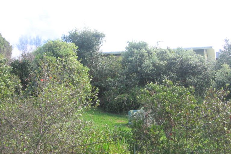Photo of property in 12 Gray Avenue, Kuaotunu West, Whitianga, 3592