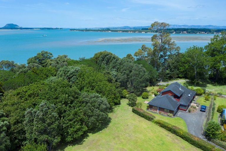 Photo of property in 22 Myrtle Drive, Omokoroa, 3114