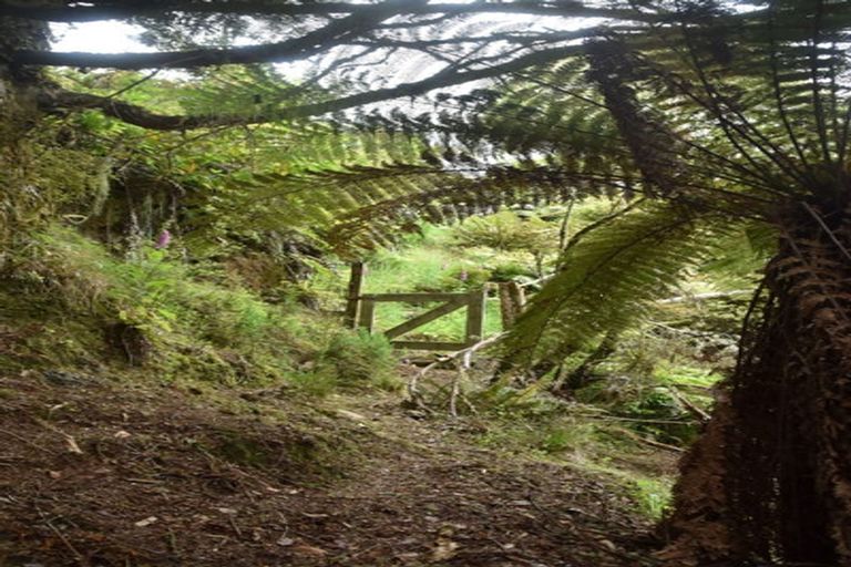 Photo of property in 2005 Ongarue Stream Road, Waimiha, 3998