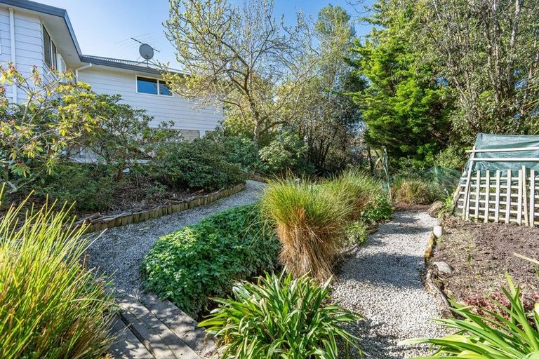 Photo of property in 45a Mcfadden Drive, Mosgiel, 9024