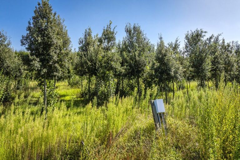 Photo of property in 1778 Pakowhai Road, Pakowhai, Napier, 4183