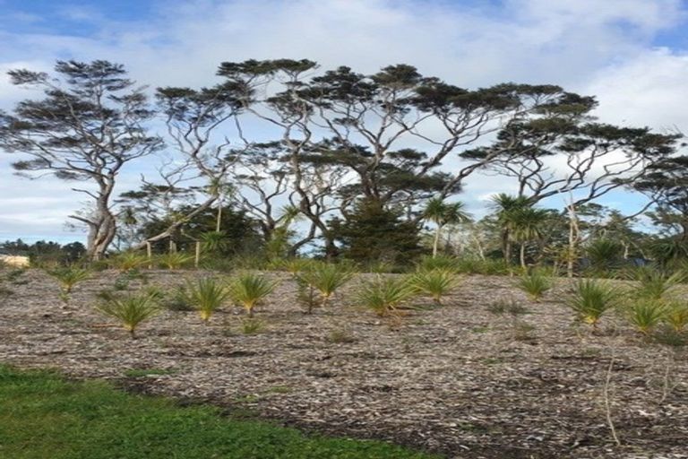 Photo of property in 3 Cooperage Avenue, Kumeu, 0810