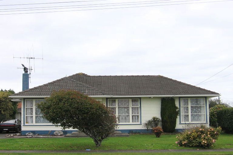 Photo of property in 19 Carlisle Street, Levin, 5510
