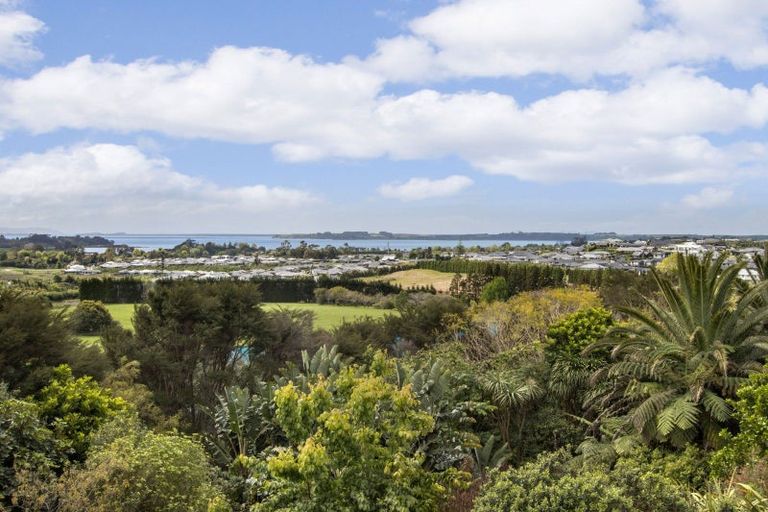 Photo of property in 429b Omokoroa Road, Omokoroa, Tauranga, 3172