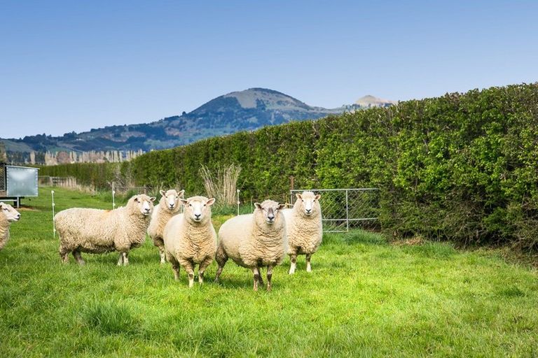 Photo of property in 74 School Road North, Mosgiel, 9092