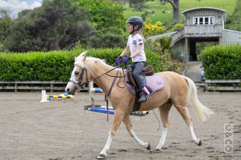 Photo of property in 25 School Road, Waimauku, 0881