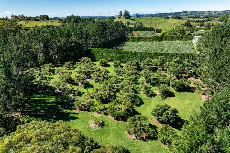 Photo of property in 168 Youngson Road, Whakamarama, Tauranga, 3179