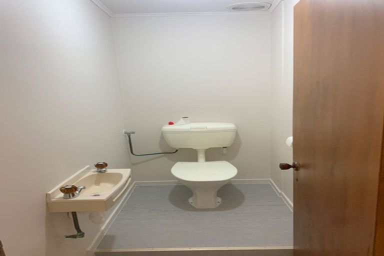 Photo of property in 223 Wright Road, Waiau Pa, Pukekohe, 2679