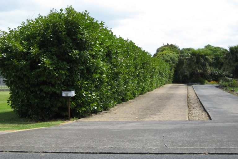 Photo of property in 31 Beresford Street, Pukekohe, 2120