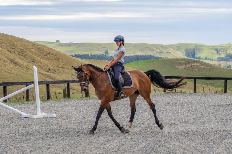 Photo of property in 1222 Taihape Road, Sherenden, Hastings, 4179