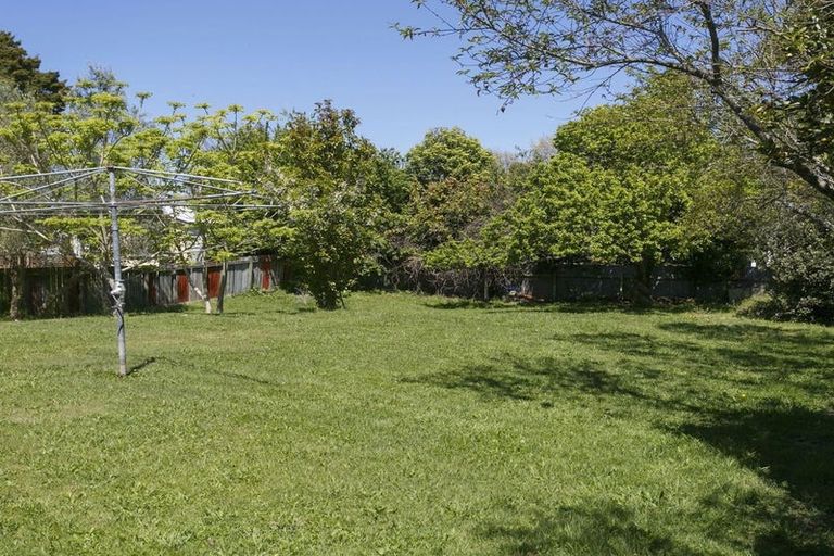 Photo of property in 53 Scannell Street, Taupo, 3330