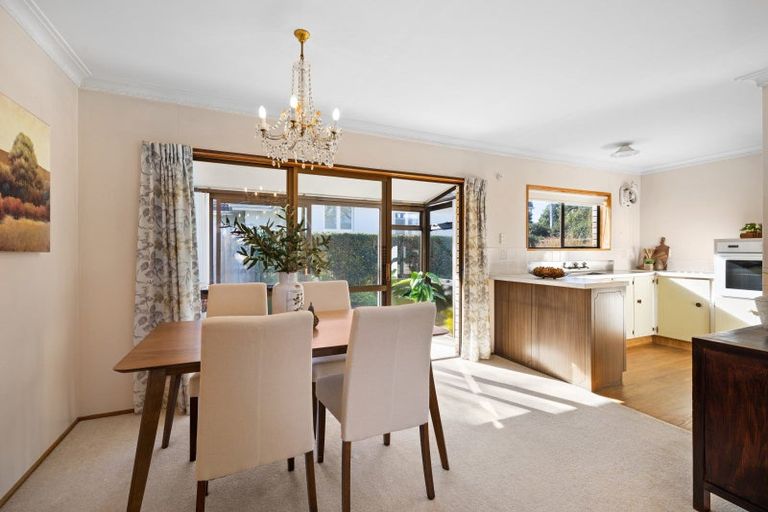 Photo of property in 125 Thirteenth Avenue, Tauranga South, Tauranga, 3112