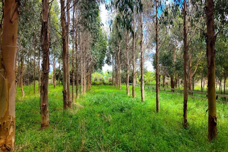 Photo of property in 25 Cookson Road, Tikitere, Rotorua, 3074