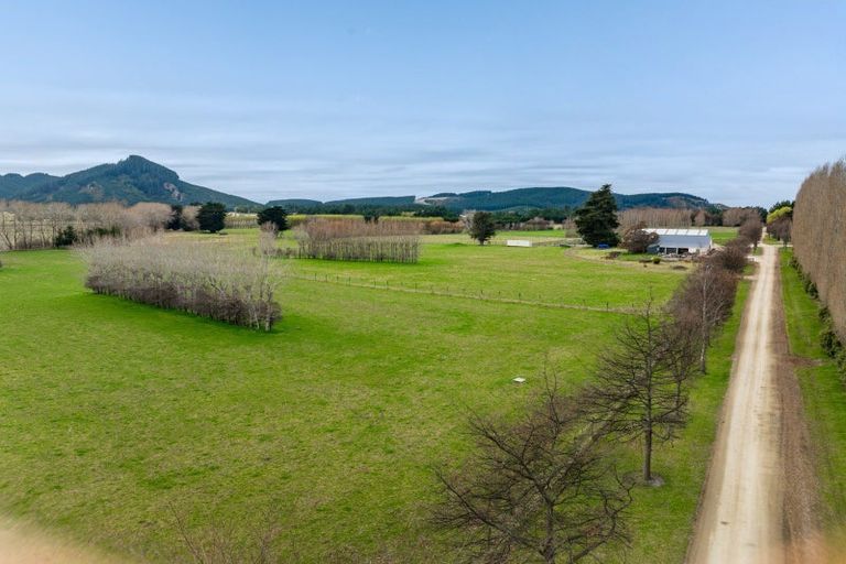 Photo of property in 53 Bushey Park Road, Bushey, Palmerston, 9482